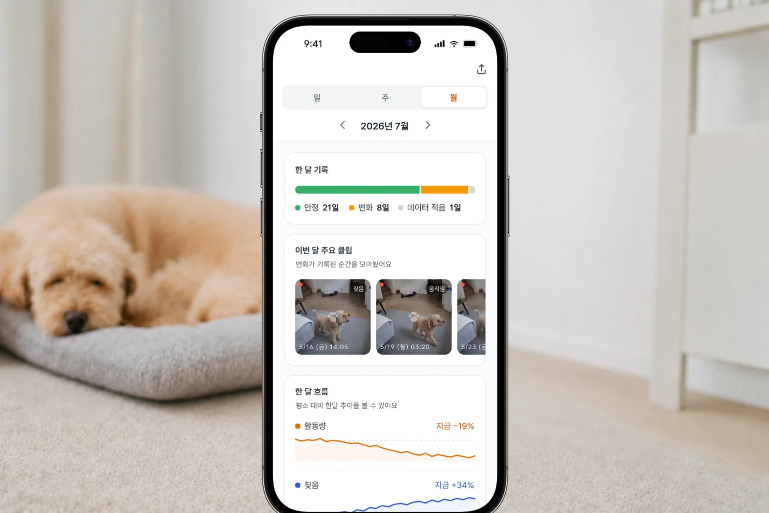 퍼피루스 앱의 건강 분석 화면 — 활동량 변화와 짖음 빈도 변화 그래프가 함께 보이는 모습